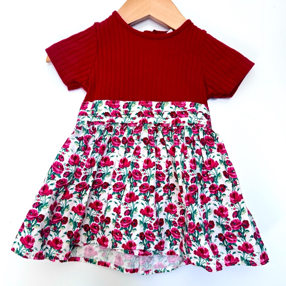 Kate Quinn Baby Organics 6-12 months Red Rose Floral Fit‎ Flare Dress holiday